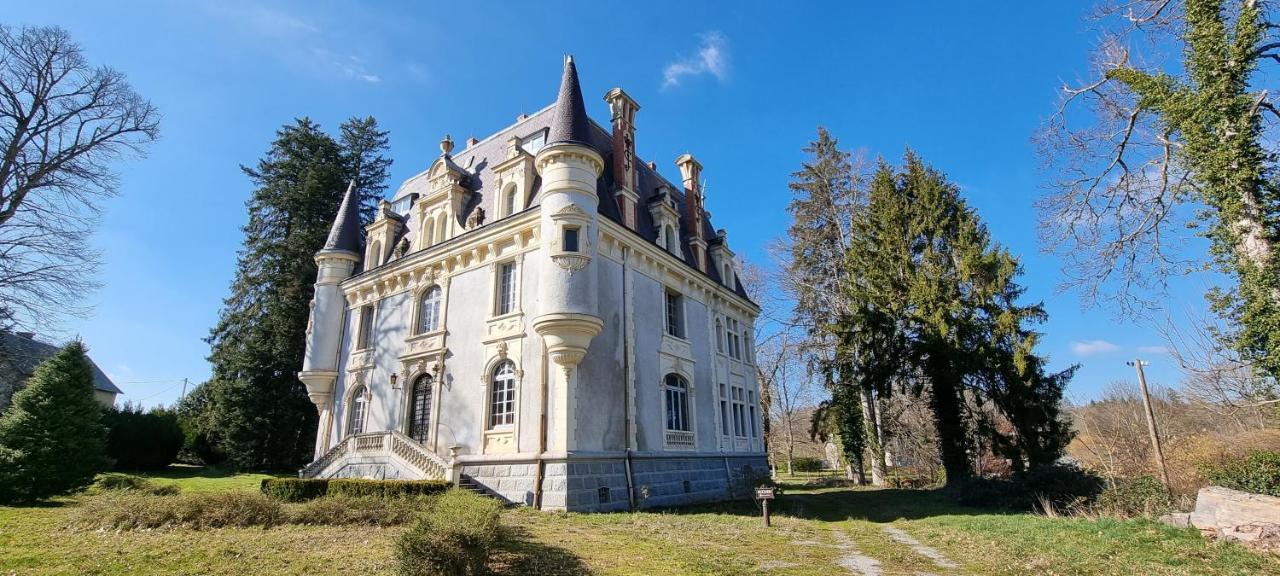 Chateau De Chazelpaud Saint-Bard Eksteriør billede