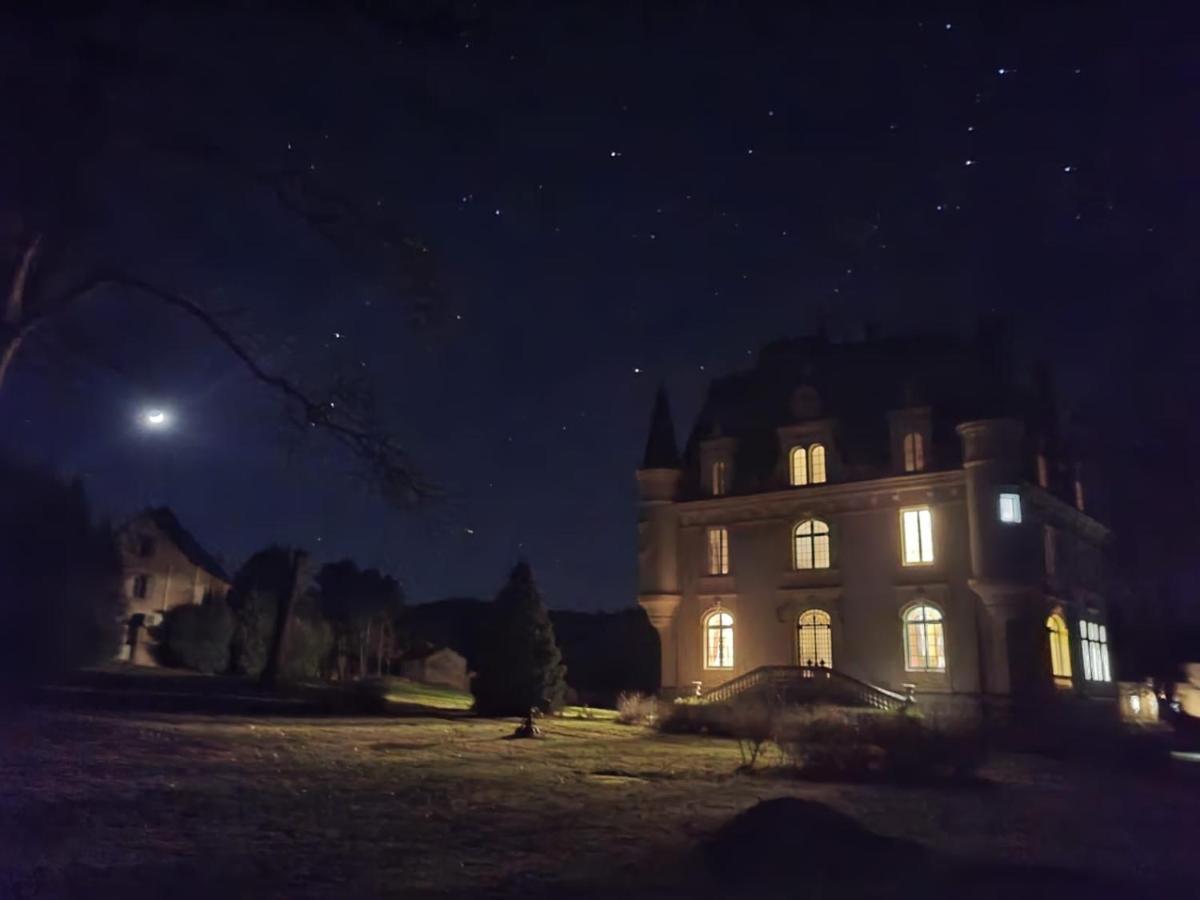 Chateau De Chazelpaud Saint-Bard Eksteriør billede